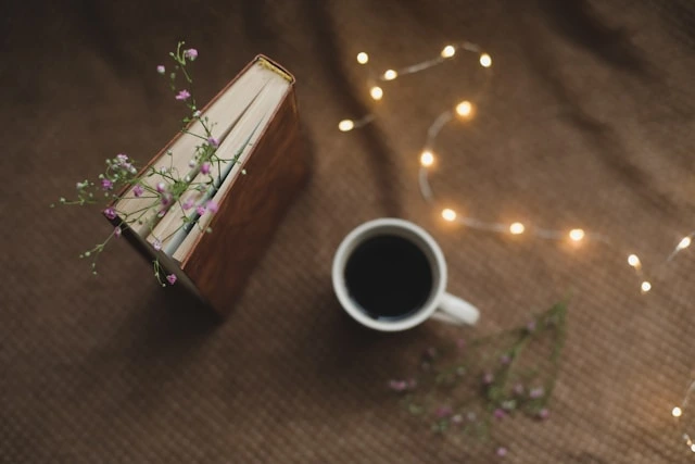 How to Keep Your Diary Safe and Secure 2 safety of the diary from others